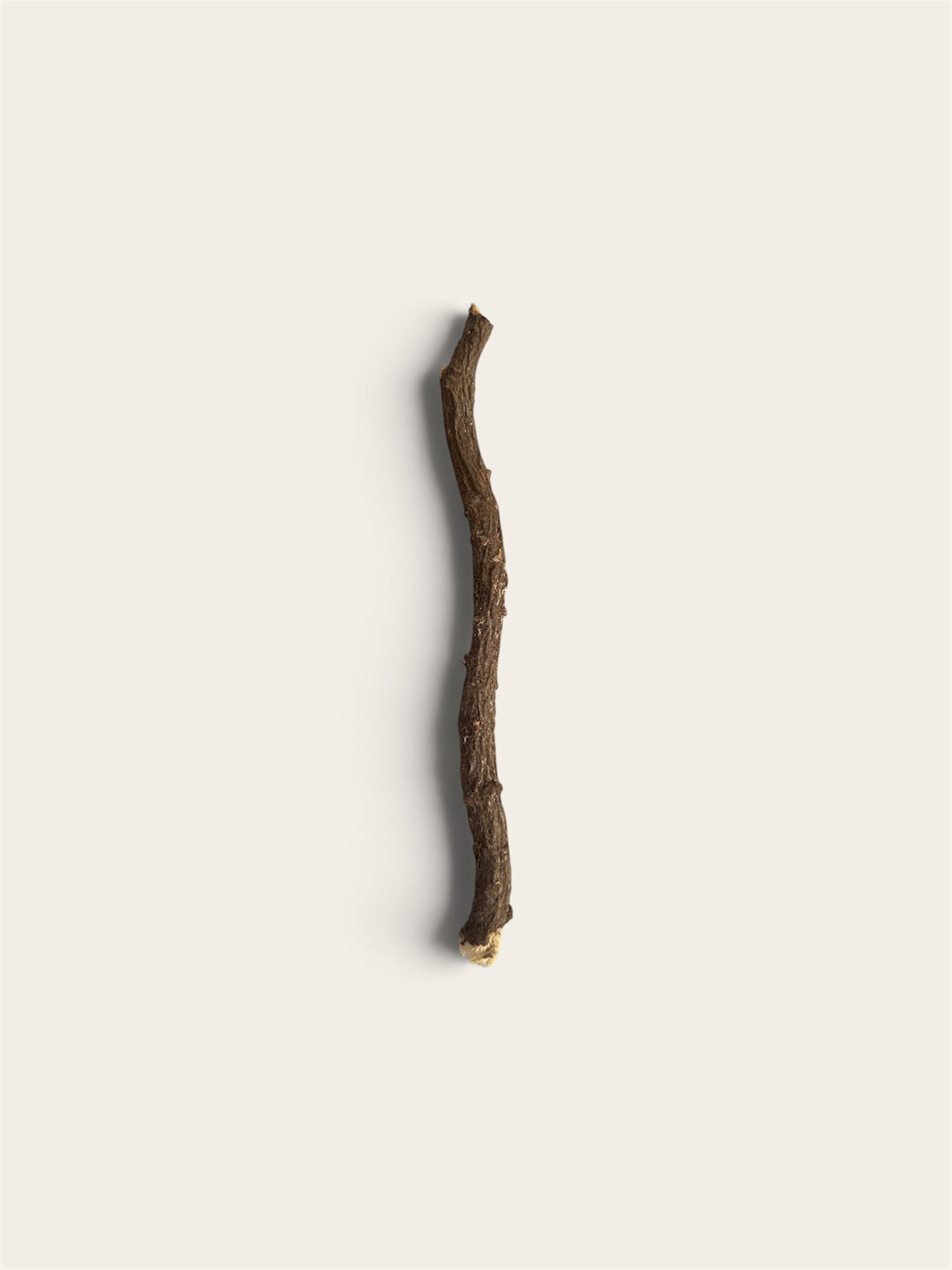2 Organic Moroccan Miswak - Teeth Whitening